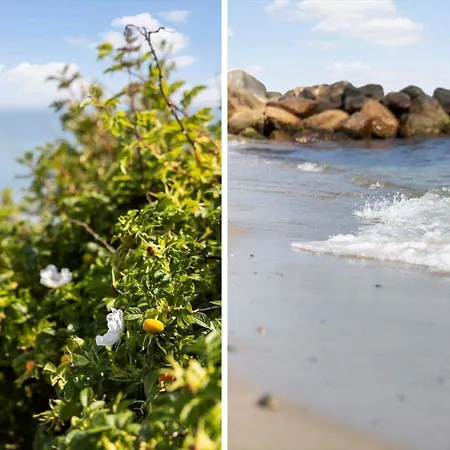 Hébergement de vacances Fy370-otterup-platanvej-23